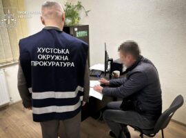 Посадовець «стер» з реєстру майже гектар приватної землі на околиці Хуста