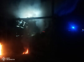 На Закарпатті пожежею знищено 8 тонн сіна