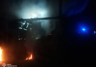 На Закарпатті пожежею знищено 8 тонн сіна