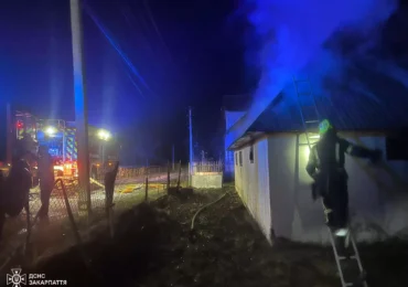 Сусіди помітили полум’я: на Тячівщині горіла надвірна споруда