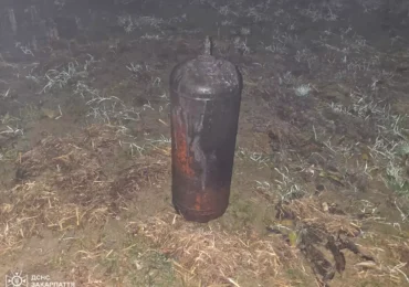 На Берегівщині рятувальники ліквідували пожежу в коптильні та запобігли вибуху газових балонів