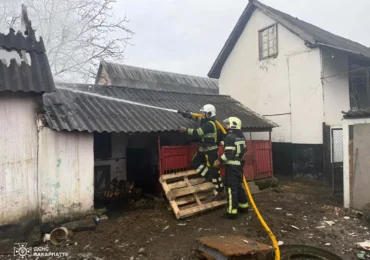 Рятувальники ліквідували пожежу в надвірній споруді у селі Чорнотисів