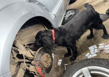 На кордоні з Угорщиною службовий пес винюхав у днищі автомобіля кілька тайників з сигаретами