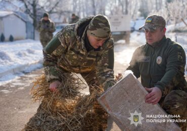 В Ужгороді кінологи виготовили саморобні будки для безпритульних тварин