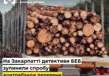 На Закарпатті зупинили контрабанду букових матеріалів