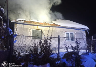Рятувальники ліквідували пожежу в житловому будинку на Мукачівщині