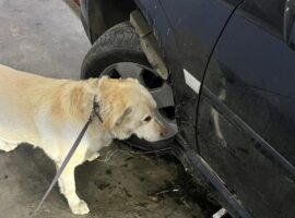 Тайники з сигаретами «позбавили» батька та сина автомобіля на кордоні зі Словаччиною