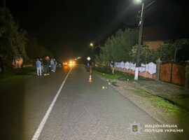 Засуджено закарпатця, який збив велосипедиста та втік з місця ДТП