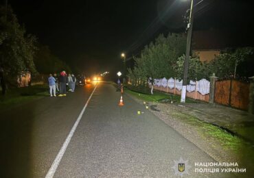 Засуджено закарпатця, який збив велосипедиста та втік з місця ДТП