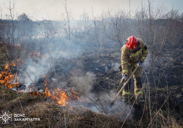 У перший день весни на Закарпатті зафіксували сім пожеж в екосистемах
