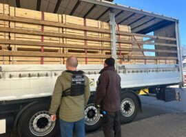 На кордоні з Угорщиною викрили спробу незаконного вивезення деревини вартістю майже пів мільйона гривень
