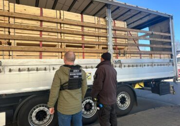 На кордоні з Угорщиною викрили спробу незаконного вивезення деревини вартістю майже пів мільйона гривень