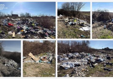 Інспекція виявила 18 стихійних сміттєзвалищ на території Виноградівської громади