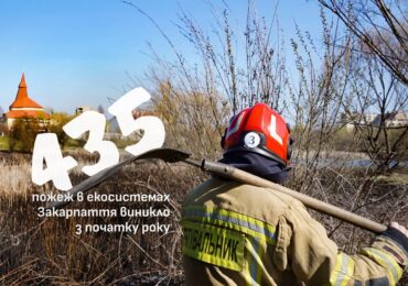 На Закарпатті різко зросла кількість пожеж у природних екосистемах