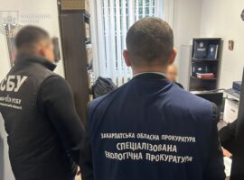 Судитимуть екскерівника Берегівського надлісництва, який організував знищення дубів на майже 1,8 млн грн