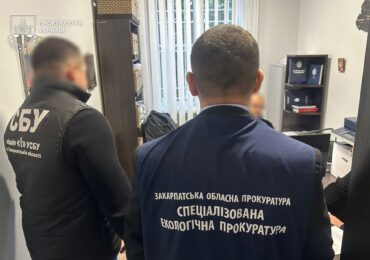 Судитимуть екскерівника Берегівського надлісництва, який організував знищення дубів на майже 1,8 млн грн