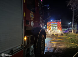 Пес врятував будинок від пожежі на Хустщині