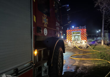 Пес врятував будинок від пожежі на Хустщині