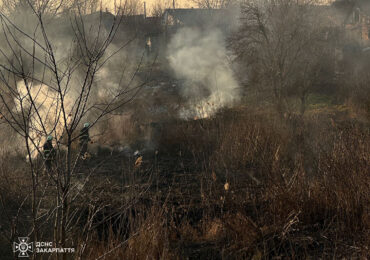 На Закарпатті, попри дощі та зниження температури, продовжуються пожежі сухої трави