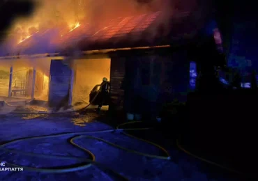 Вогнеборці Тячівщини ліквідували пожежу в надвірній споруді та не допустили її перекидання на житловий будинок