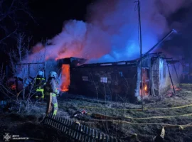 Вогнеборці Тячівщини запобігли поширенню вогню на літню кухню та житловий будинок