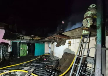 Нічна пожежа на Берегівщині: вогонь знищив надвірну споруду