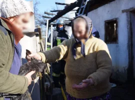 На Ужгородщині ліквідували пожежу в господарській споруді та врятували свійських тварин