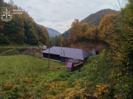 На Закарпатті лісничий самовільно збудував приватний садовий будинок для родини на землях лісфонду
