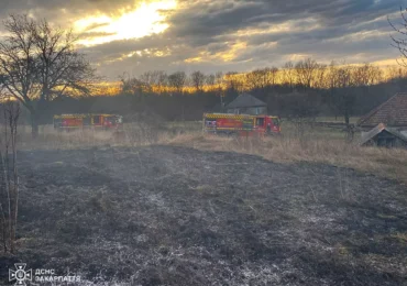 На Закарпатті за три дні зафіксували 60 пожеж в екосистемах