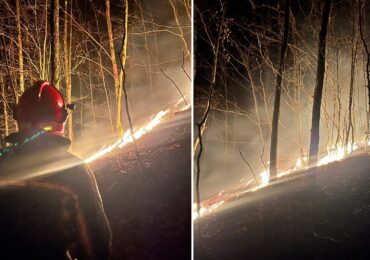 На Хустщині вогнеборці спільно з лісівниками ліквідували загоряння лісової підстилки