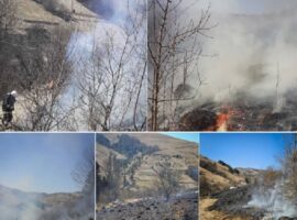 На Закарпатті ліквідовано два загоряння лісової підстилки площею 2,25 га