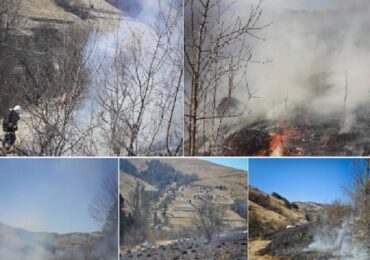 На Закарпатті ліквідовано два загоряння лісової підстилки площею 2,25 га