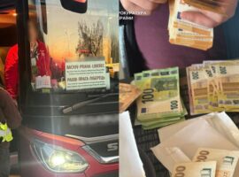 На Закарпатті викрили схему ухилення від сплати податків під час міжнародних автобусних перевезень