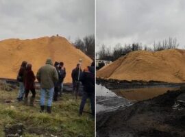 На Закарпатті через забруднення ґрунтів повідомлено про підозру посадовцю підприємства