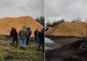 На Закарпатті через забруднення ґрунтів повідомлено про підозру посадовцю підприємства