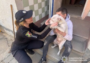 Помічник реабілітації дітей»: на Берегівщині повернули загублену собаку господарям
