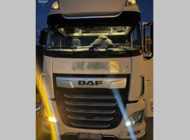 На Закарпатті перевізника-нерезидента оштрафували на понад 35 тисяч гривень