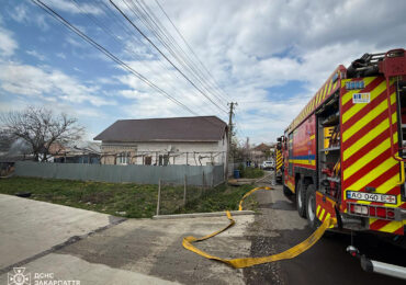 У Мукачівському районі вогнеборці ліквідували пожежі у двох надвірних спорудах