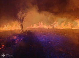 На Закарпатті за минулу добу зафіксували 8 випадків спалювання сухої рослинності