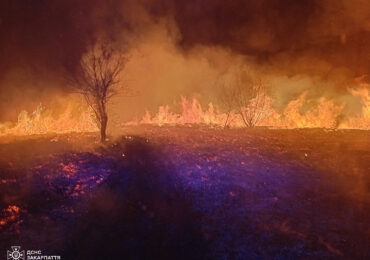 На Закарпатті за минулу добу зафіксували 8 випадків спалювання сухої рослинності