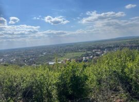 Гірська прогулянка ледь не завершилась трагедією: на Берегівщині врятували туристку