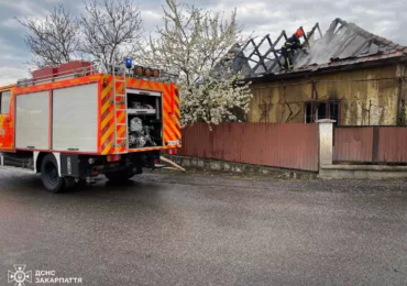 На Берегівщині внаслідок пожежі в житловому будинку загинув чоловік