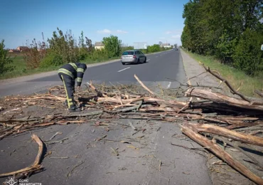Негода наробила лиха на Закарпатті: є загиблий, пошкоджені авто та знеструмлені села