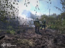 Поблизу Чопа через спалювання сухостою згоріла дачна будівля