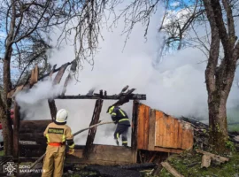 На Тячівщині під час пожежі врятували жінку