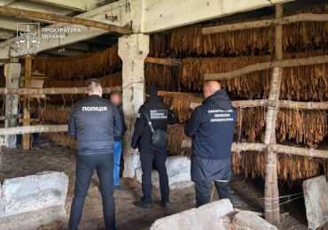 8,3 тонни тютюну і 25 гектарів посівів: на заході України викрито нелегальний бізнес