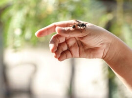 У Батьові медики врятували жінку після анафілактичного шоку