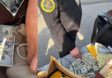 На кордоні зі Словаччиною службовий пес митниці винюхав у речах пішохідки валюту на майже 4 млн грн