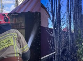 Ужгородські рятувальники ліквідували загорання дерев в Оноківцях