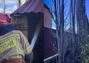 Ужгородські рятувальники ліквідували загорання дерев в Оноківцях